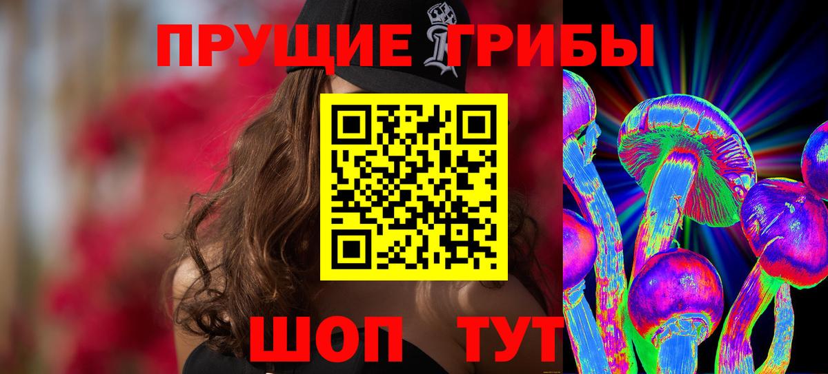 Галлюциногенные грибы Psilocybine cubensis Баксан
