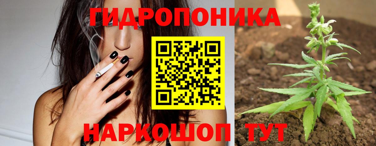 Бошки марихуана план  Канабис SATIVA & INDICA  Баксан  Бошки Шишки ГИДРОПОН  Вход с VPN 